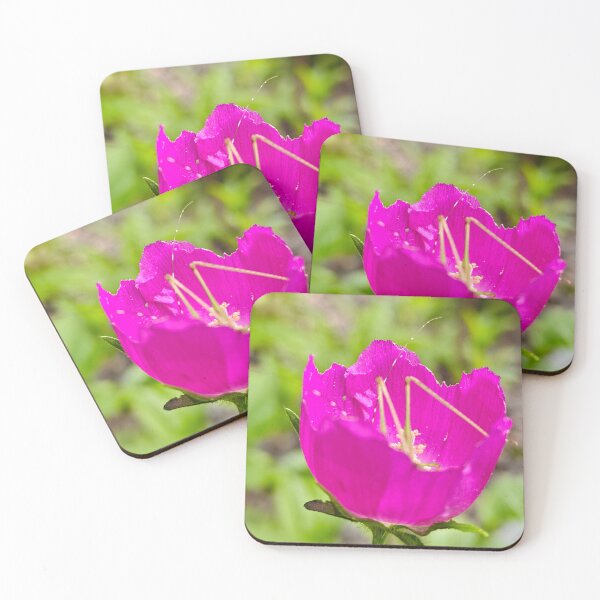 Item preview, Purple Poppy Mallow designed and sold by YvonneArrington.