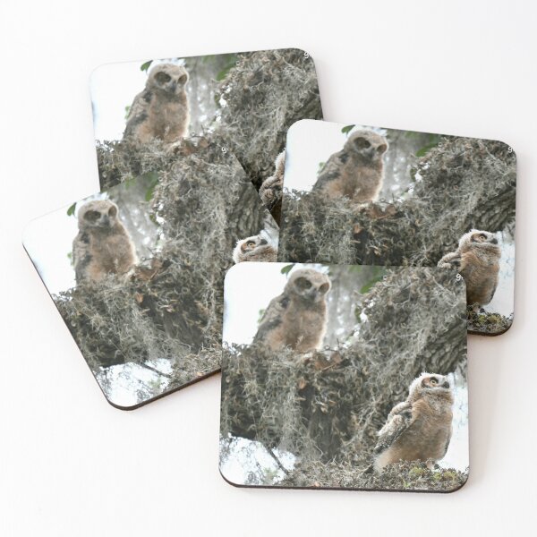 Item preview, Great Horned Owlets designed and sold by Glennphotos.
