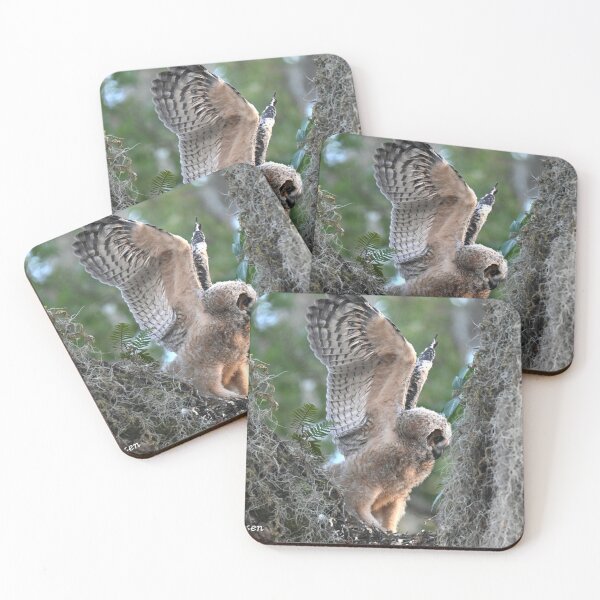 Item preview, Great Horned Owlet stretching it wings designed and sold by Glennphotos.