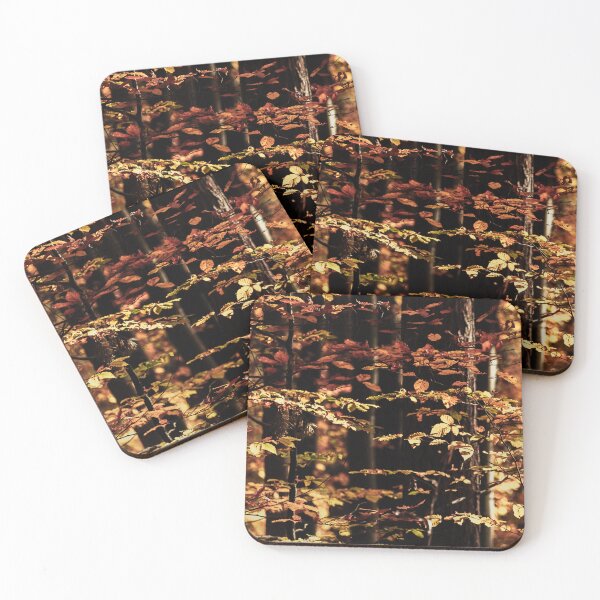 Item preview, Autumn-colored beech leaves in front of dark tree trunks. designed and sold by KajaG..