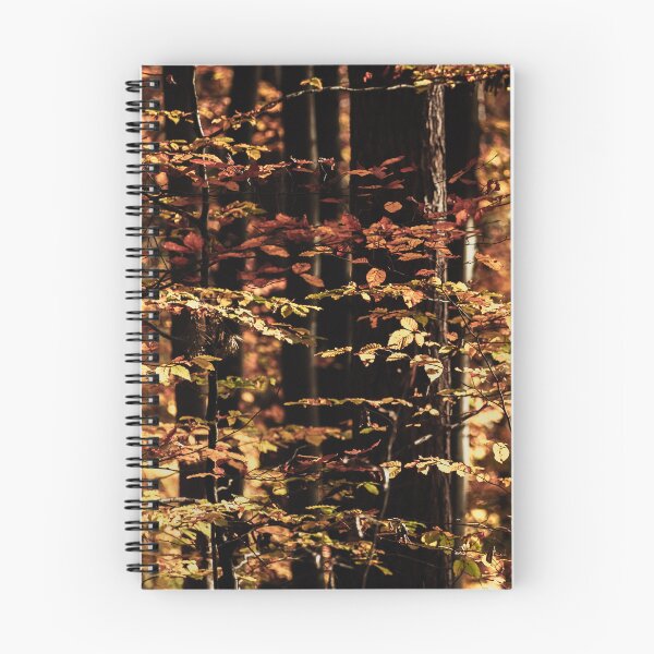 Item preview, Autumn-colored beech leaves in front of dark tree trunks. designed and sold by KajaG..