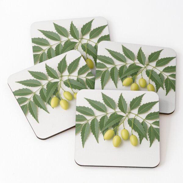 Item preview, Neem Leaves and Fruits on White designed and sold by SassyArtistry.