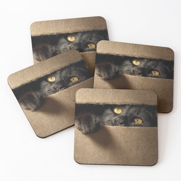 Item preview, Black Cat in Box 01 designed and sold by Elisabeth Lucas.