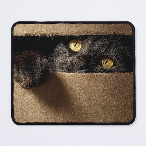 Item preview, Black Cat in Box 01 designed and sold by Elisabeth Lucas.