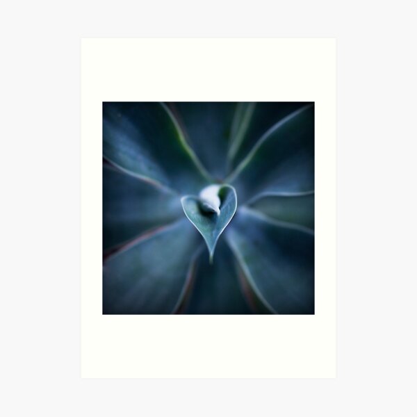 Agavae Art Print