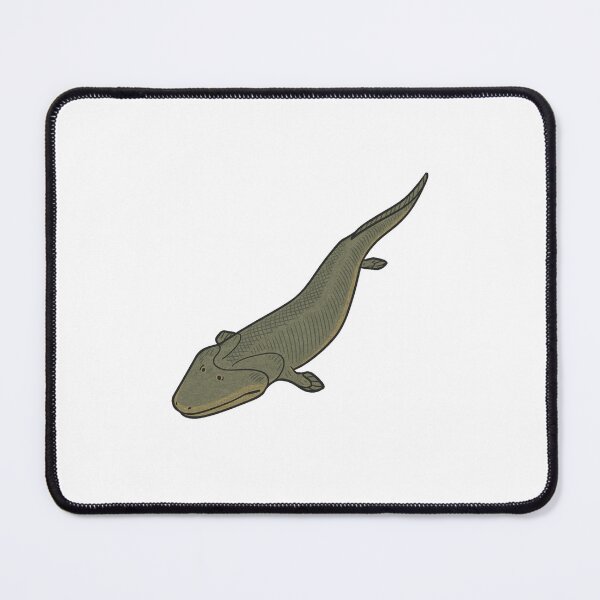 Item preview, Tiktaalik Illustration, Prehistoric Transitional Fossil Fish Art designed and sold by Vendeloc.