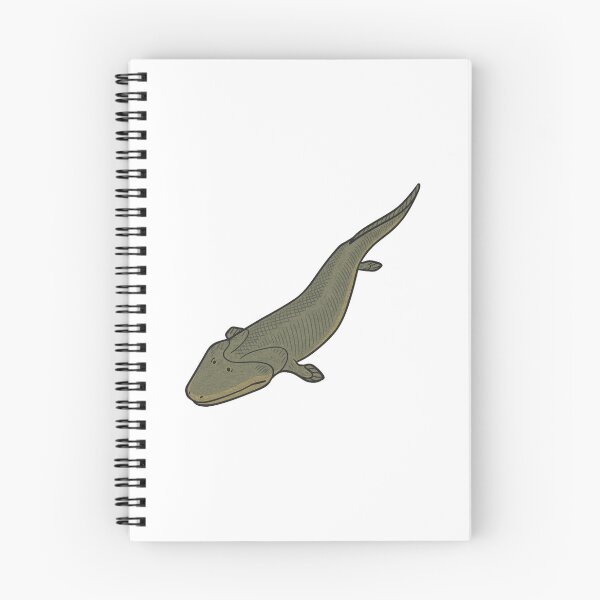 Item preview, Tiktaalik Illustration, Prehistoric Transitional Fossil Fish Art designed and sold by Vendeloc.