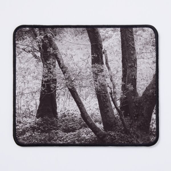 Item preview, The Structure of Trees 1 designed and sold by ShinyPhoto.