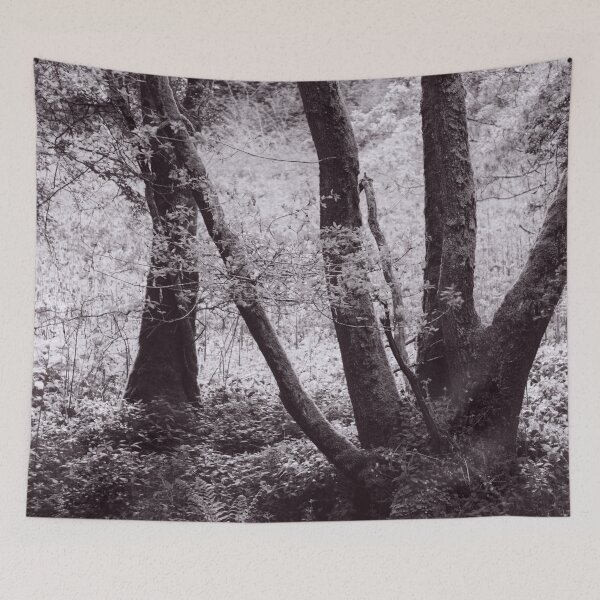 Item preview, The Structure of Trees 1 designed and sold by ShinyPhoto.