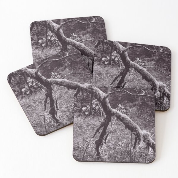 Item preview, The Structure of Trees 2 designed and sold by ShinyPhoto.