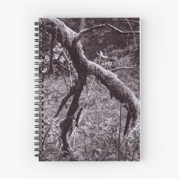 Item preview, The Structure of Trees 2 designed and sold by ShinyPhoto.