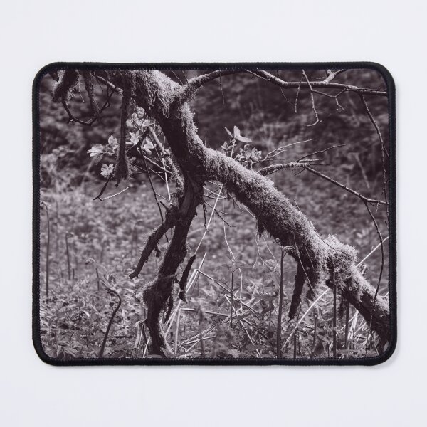 Item preview, The Structure of Trees 2 designed and sold by ShinyPhoto.