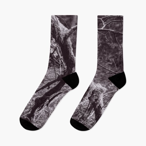 Item preview, The Structure of Trees 2 designed and sold by ShinyPhoto.