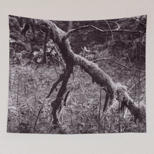 Item preview, The Structure of Trees 2 designed and sold by ShinyPhoto.