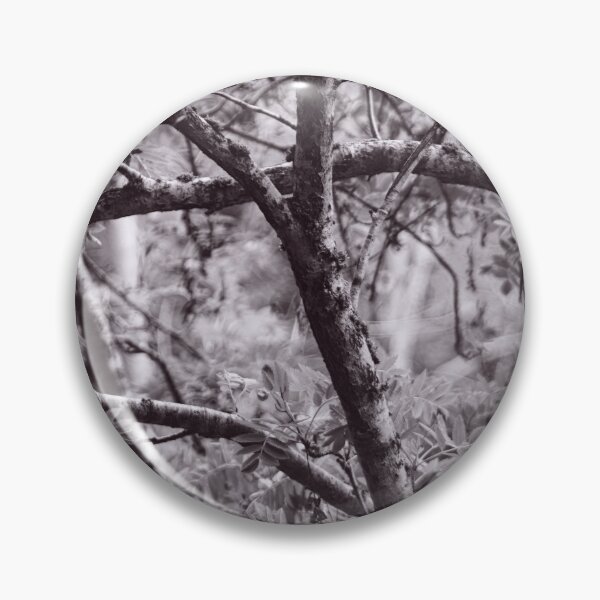 Item preview, The Structure of Trees 3 designed and sold by ShinyPhoto.
