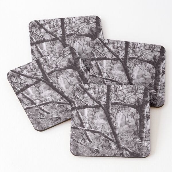 Item preview, The Structure of Trees 3 designed and sold by ShinyPhoto.
