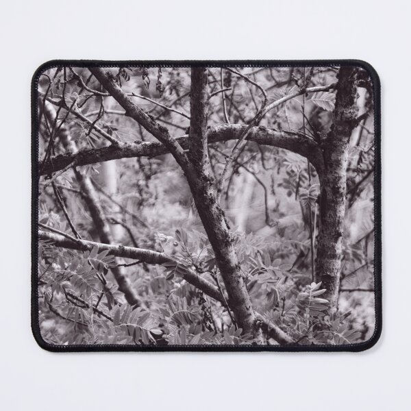 Item preview, The Structure of Trees 3 designed and sold by ShinyPhoto.