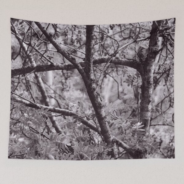Item preview, The Structure of Trees 3 designed and sold by ShinyPhoto.