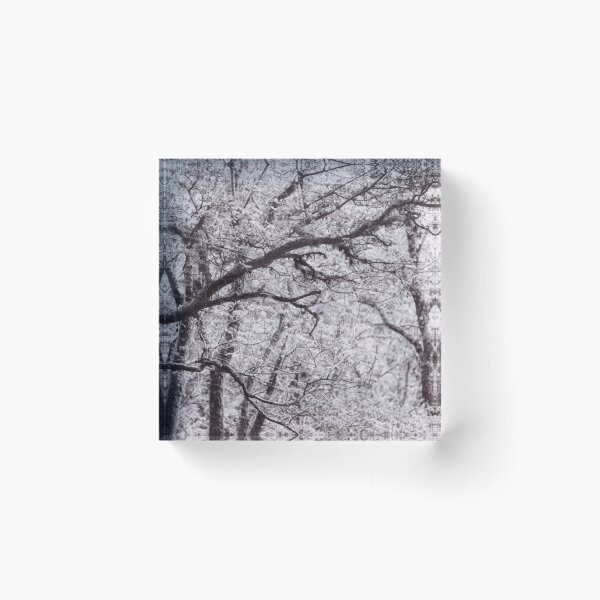 Item preview, The Structure of Trees 4 designed and sold by ShinyPhoto.