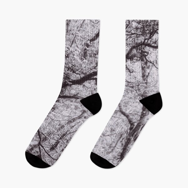 Item preview, The Structure of Trees 4 designed and sold by ShinyPhoto.