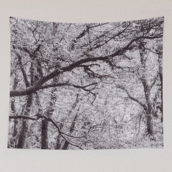 Item preview, The Structure of Trees 4 designed and sold by ShinyPhoto.