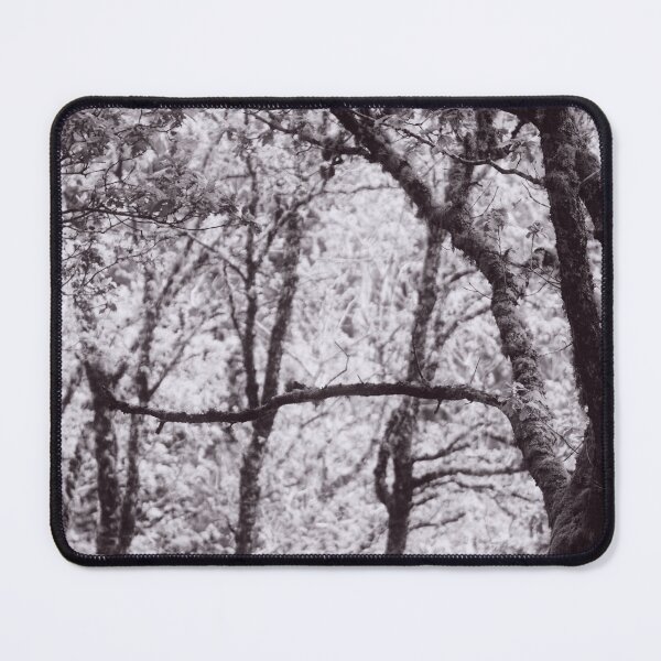 Item preview, The Structure of Trees 5 designed and sold by ShinyPhoto.