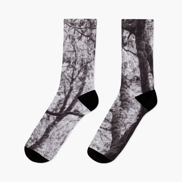 Item preview, The Structure of Trees 5 designed and sold by ShinyPhoto.