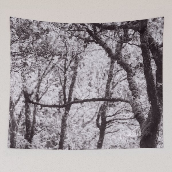 Item preview, The Structure of Trees 5 designed and sold by ShinyPhoto.