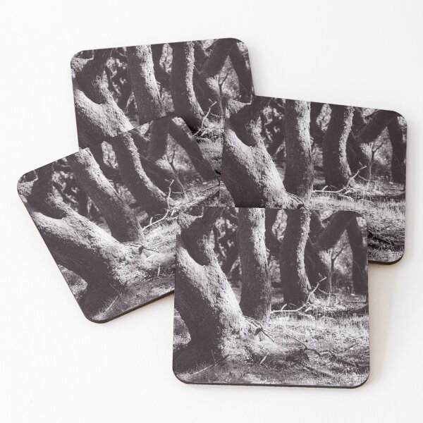 Item preview, The Structure of Trees 6 designed and sold by ShinyPhoto.
