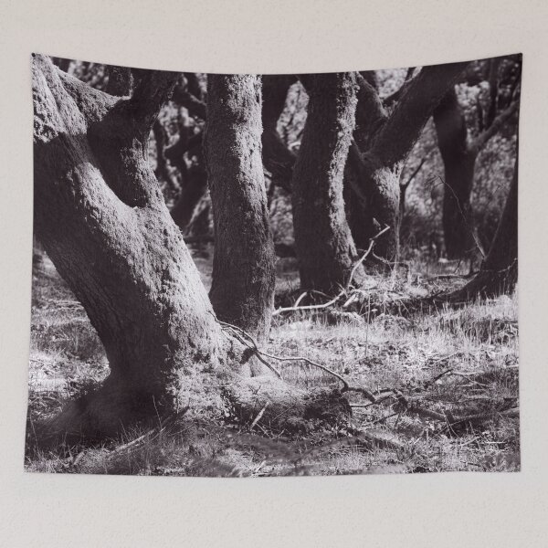 Item preview, The Structure of Trees 6 designed and sold by ShinyPhoto.
