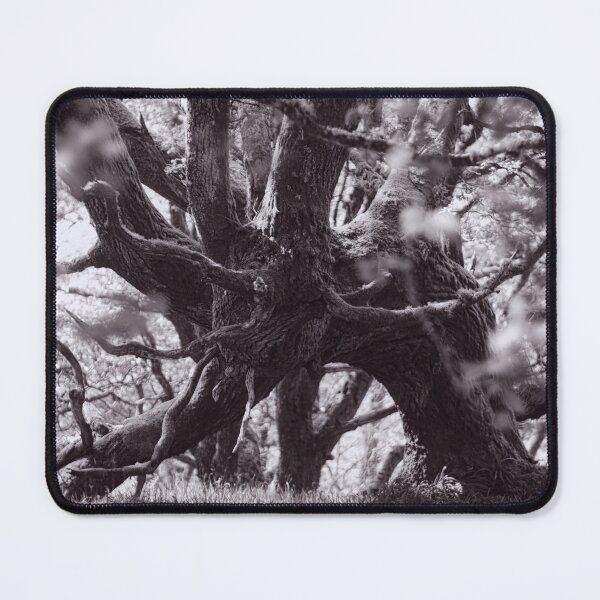 Item preview, The Structure of Trees 8 designed and sold by ShinyPhoto.