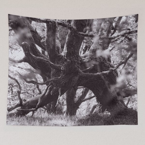 Item preview, The Structure of Trees 8 designed and sold by ShinyPhoto.