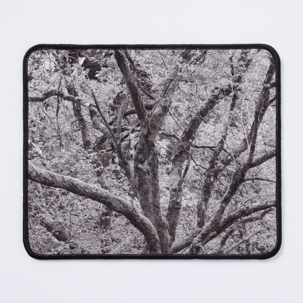 Item preview, The Structure of Trees 10 designed and sold by ShinyPhoto.
