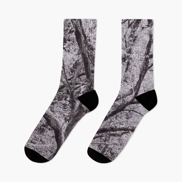 Item preview, The Structure of Trees 10 designed and sold by ShinyPhoto.
