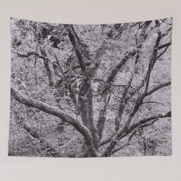 Item preview, The Structure of Trees 10 designed and sold by ShinyPhoto.