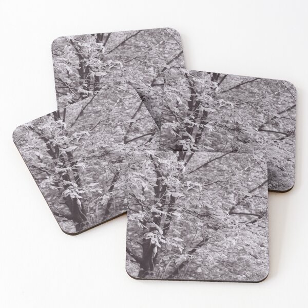 Item preview, The Structure of Trees 11 designed and sold by ShinyPhoto.