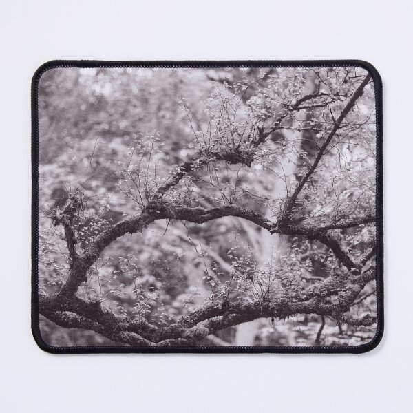 Item preview, The Structure of Trees 12 designed and sold by ShinyPhoto.
