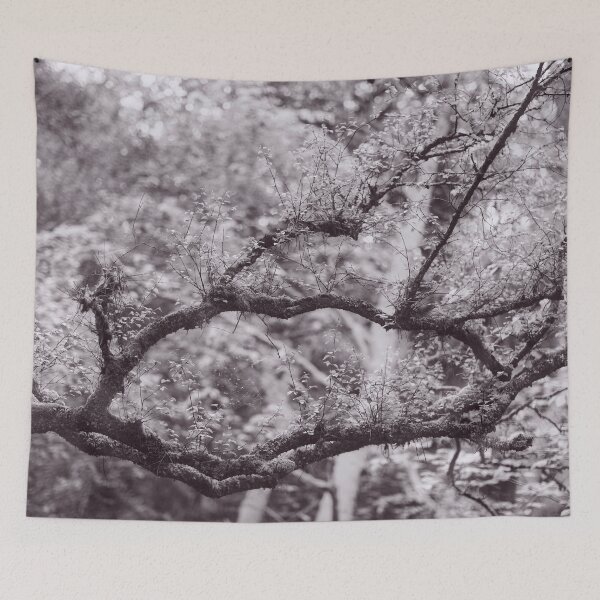 Item preview, The Structure of Trees 12 designed and sold by ShinyPhoto.