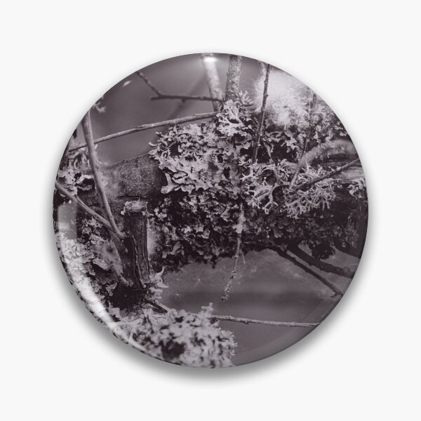 Item preview, The Structure of Trees 13 designed and sold by ShinyPhoto.