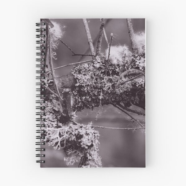 Item preview, The Structure of Trees 13 designed and sold by ShinyPhoto.