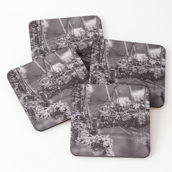 Item preview, The Structure of Trees 13 designed and sold by ShinyPhoto.