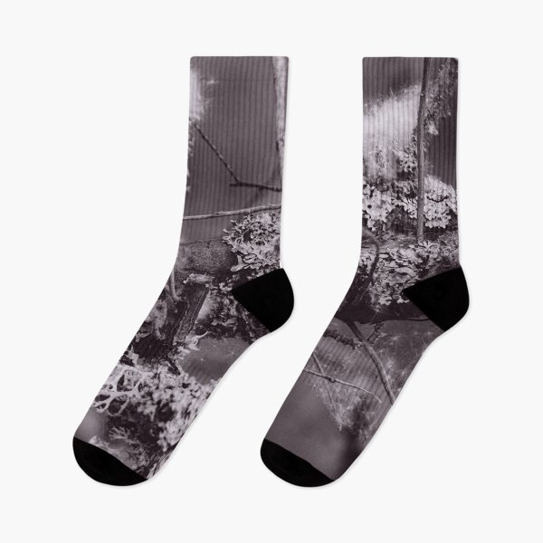 Item preview, The Structure of Trees 13 designed and sold by ShinyPhoto.