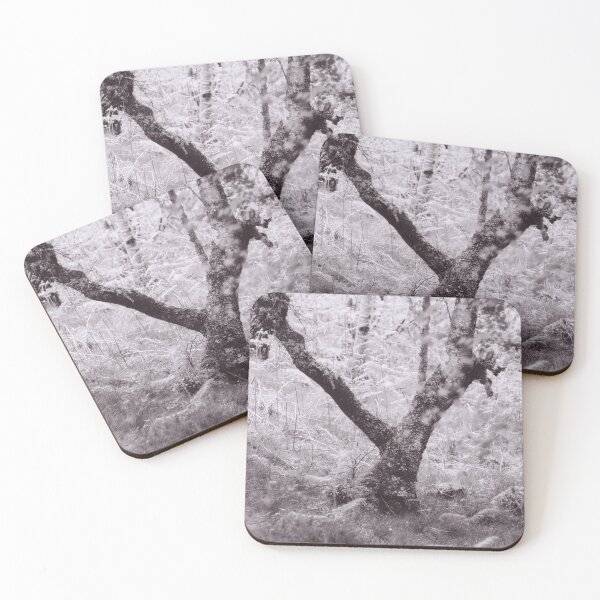 Item preview, The Structure of Trees 14 designed and sold by ShinyPhoto.