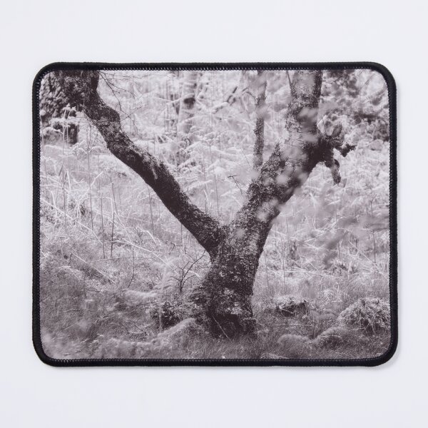 Item preview, The Structure of Trees 14 designed and sold by ShinyPhoto.