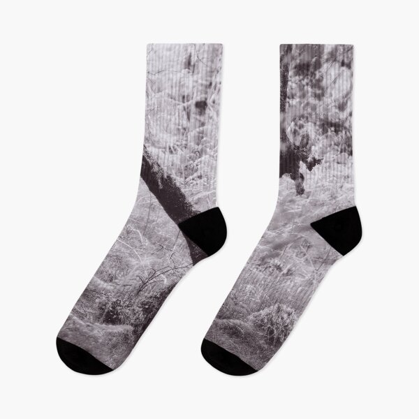 Item preview, The Structure of Trees 14 designed and sold by ShinyPhoto.
