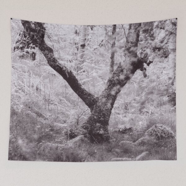 Item preview, The Structure of Trees 14 designed and sold by ShinyPhoto.