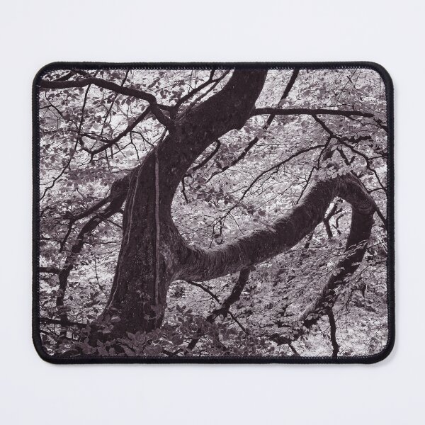 Item preview, The Structure of Trees 16 designed and sold by ShinyPhoto.