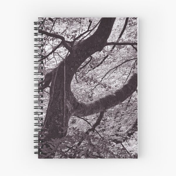 Item preview, The Structure of Trees 16 designed and sold by ShinyPhoto.