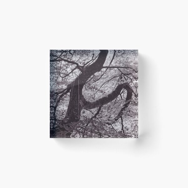 Item preview, The Structure of Trees 16 designed and sold by ShinyPhoto.