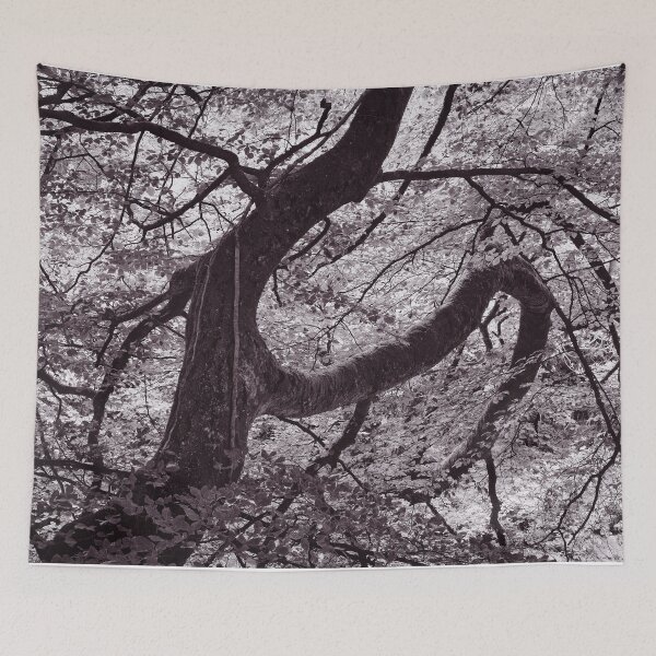Item preview, The Structure of Trees 16 designed and sold by ShinyPhoto.